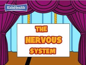 Resultado de imagen de nervous  system for kids
