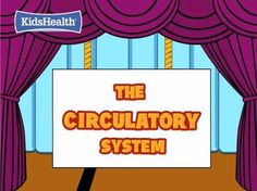 Resultado de imagen de circulatory system for kids worksheets